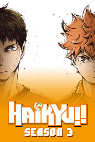Volleyball Idiots