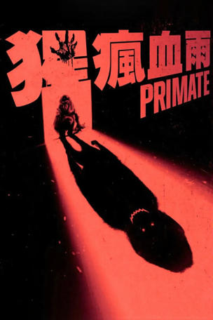 Primate